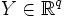  Y \in \mathbb{R}ˆq 